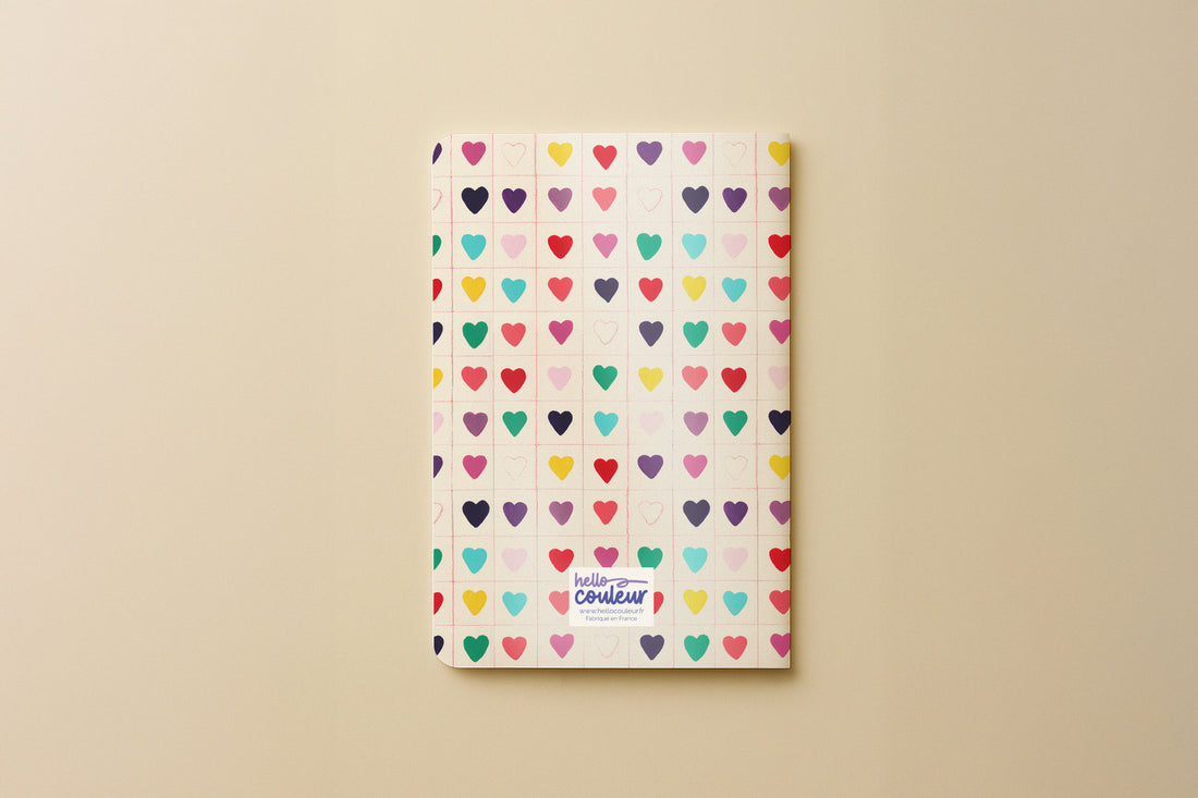 Carnet Champ de cœur du grand pack Danse des courbes, couverture semée de cœurs multicolores