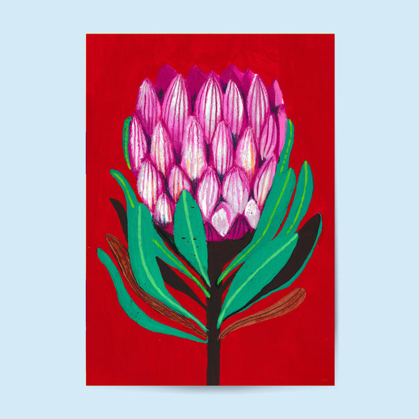 Tirage d'Art - Protea