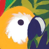 Vue 3